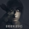 Groovegsus