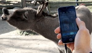 NI_iMaschine_1-1_Foto_06_iPhone_Sampling