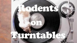 rodents on turntables